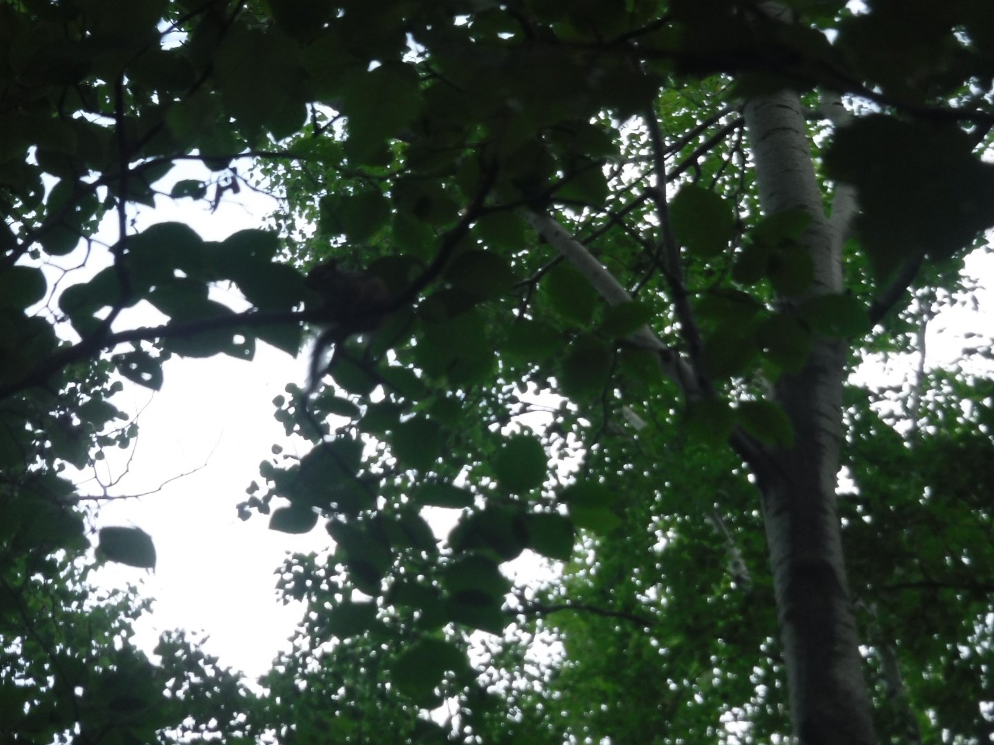 DSCF6445.JPG