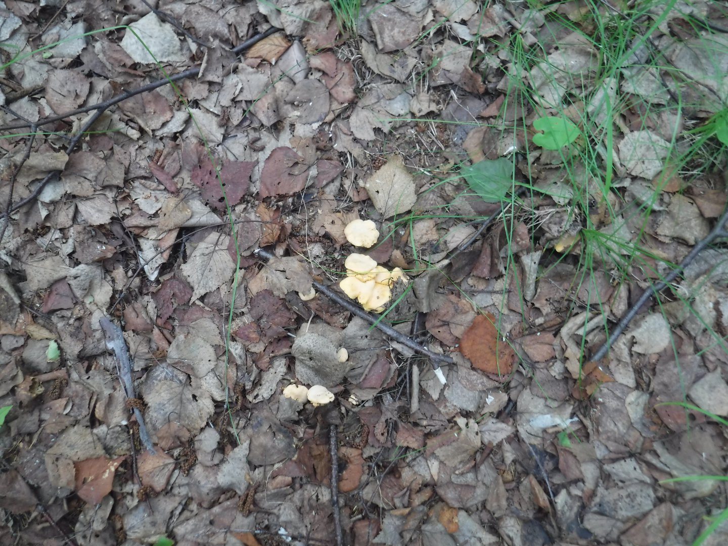DSCF6449.JPG