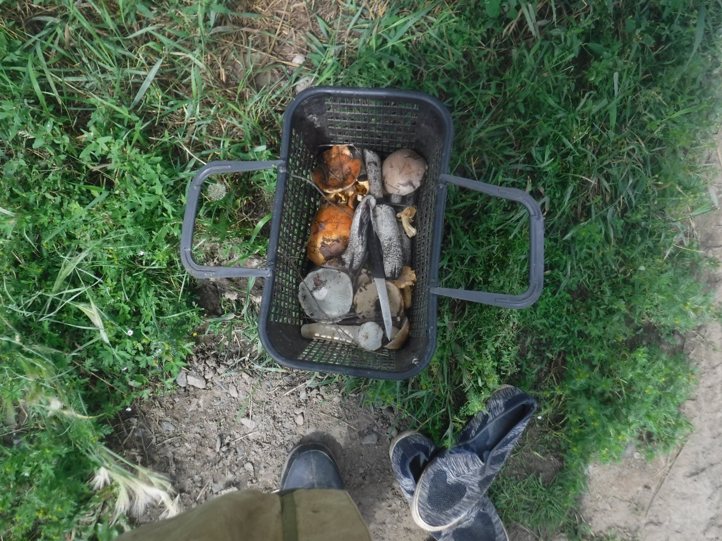 DSCF6466.JPG