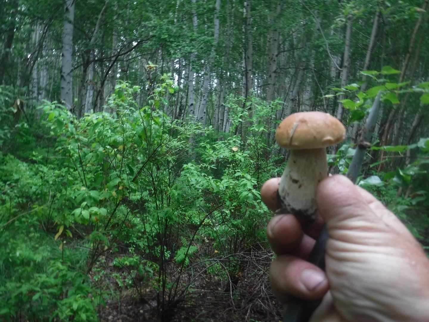 DSCF6471.JPG