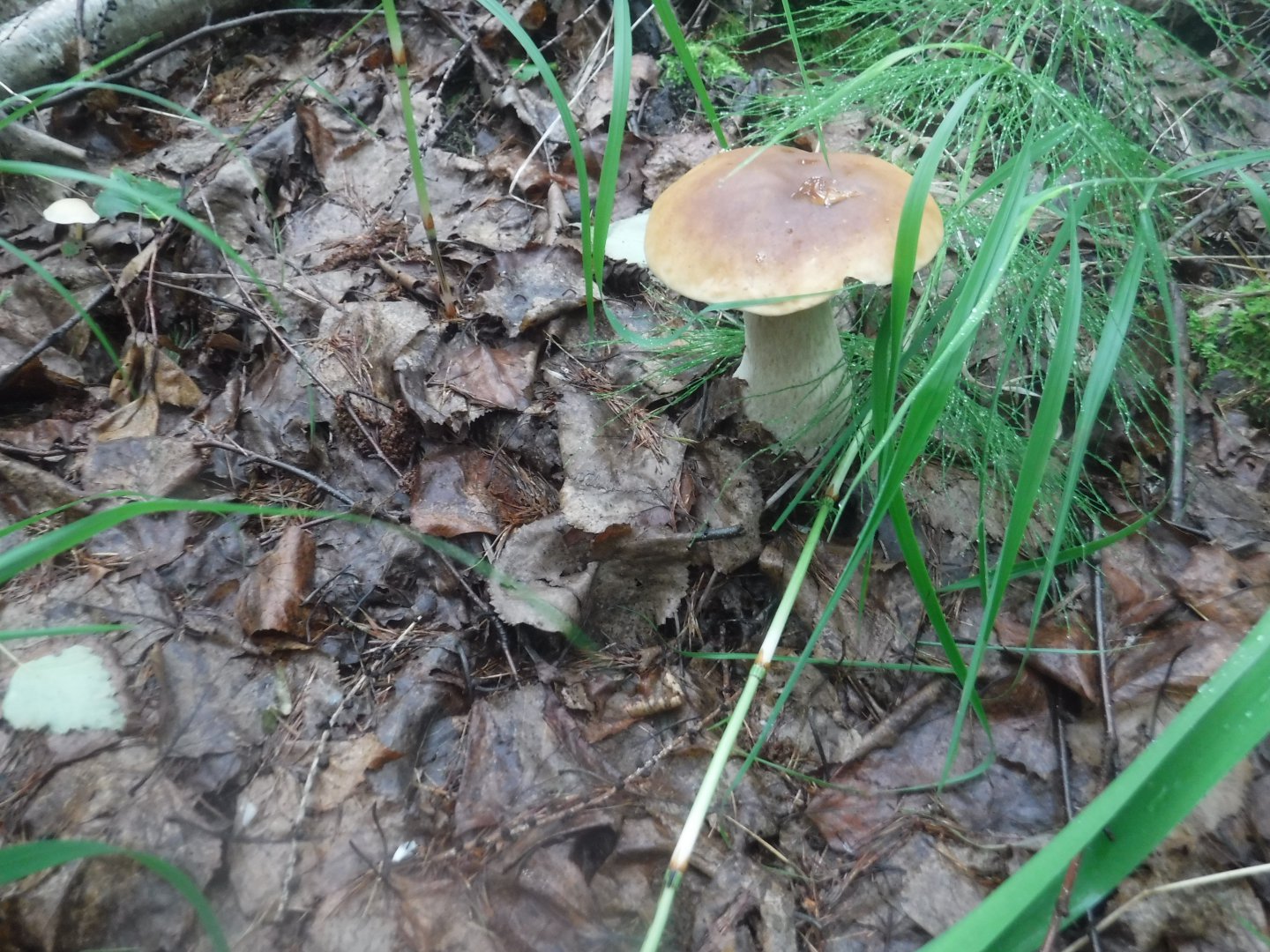 DSCF6477.JPG
