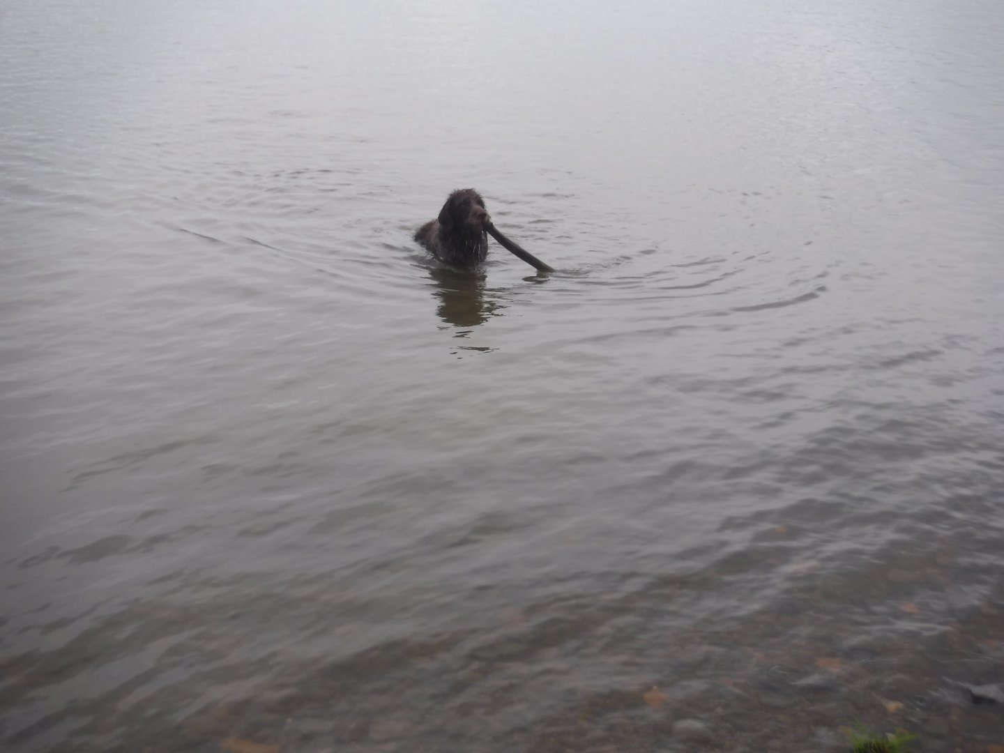 DSCF6482.JPG