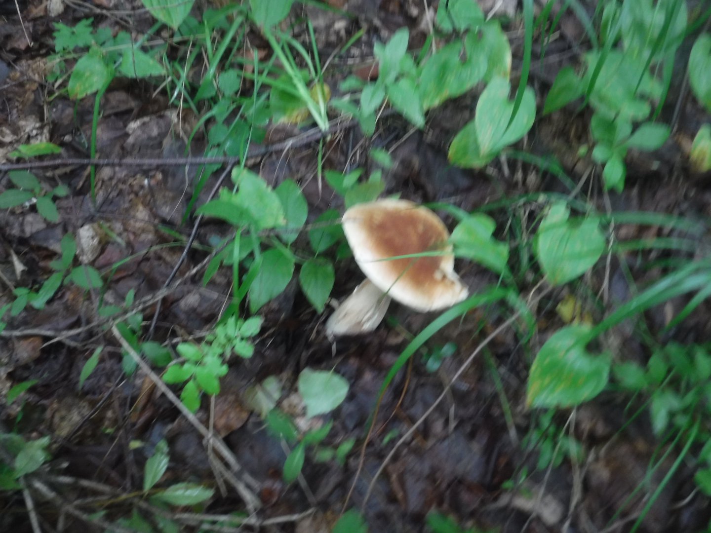 DSCF6484.JPG