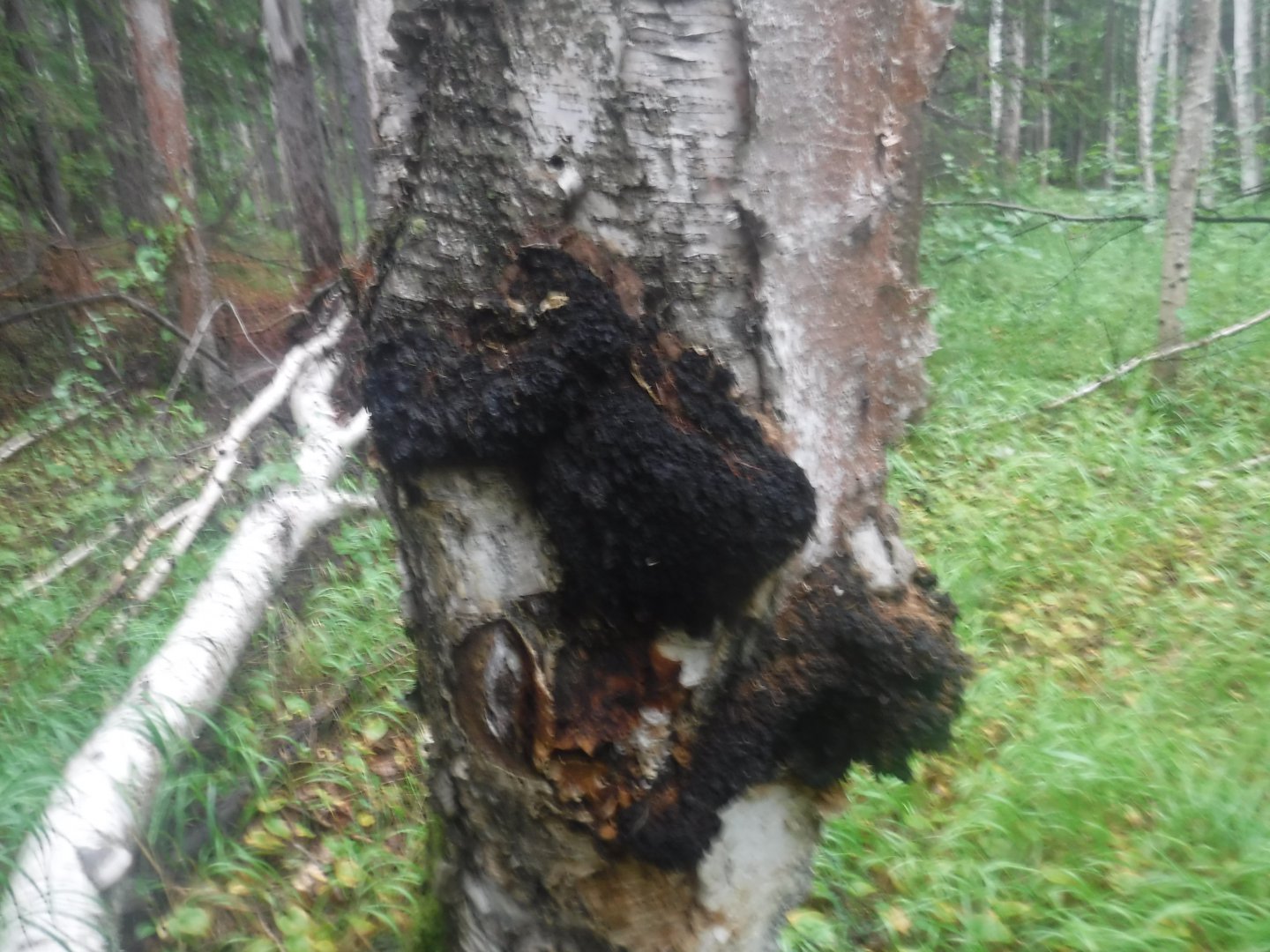DSCF6485.JPG