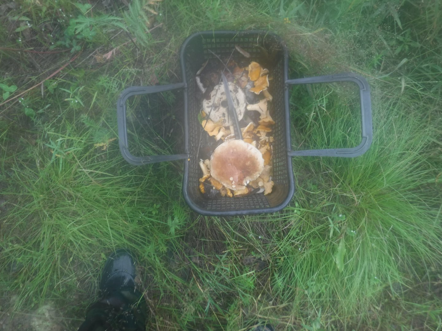 DSCF6487.JPG