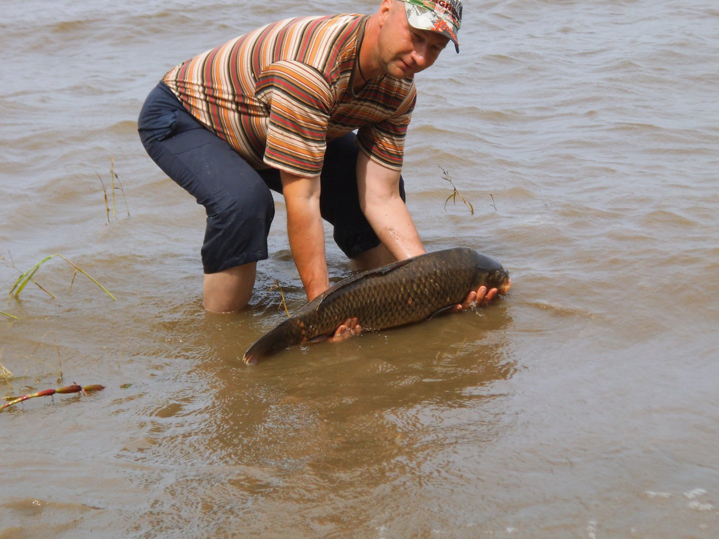 DSCF6491.JPG
