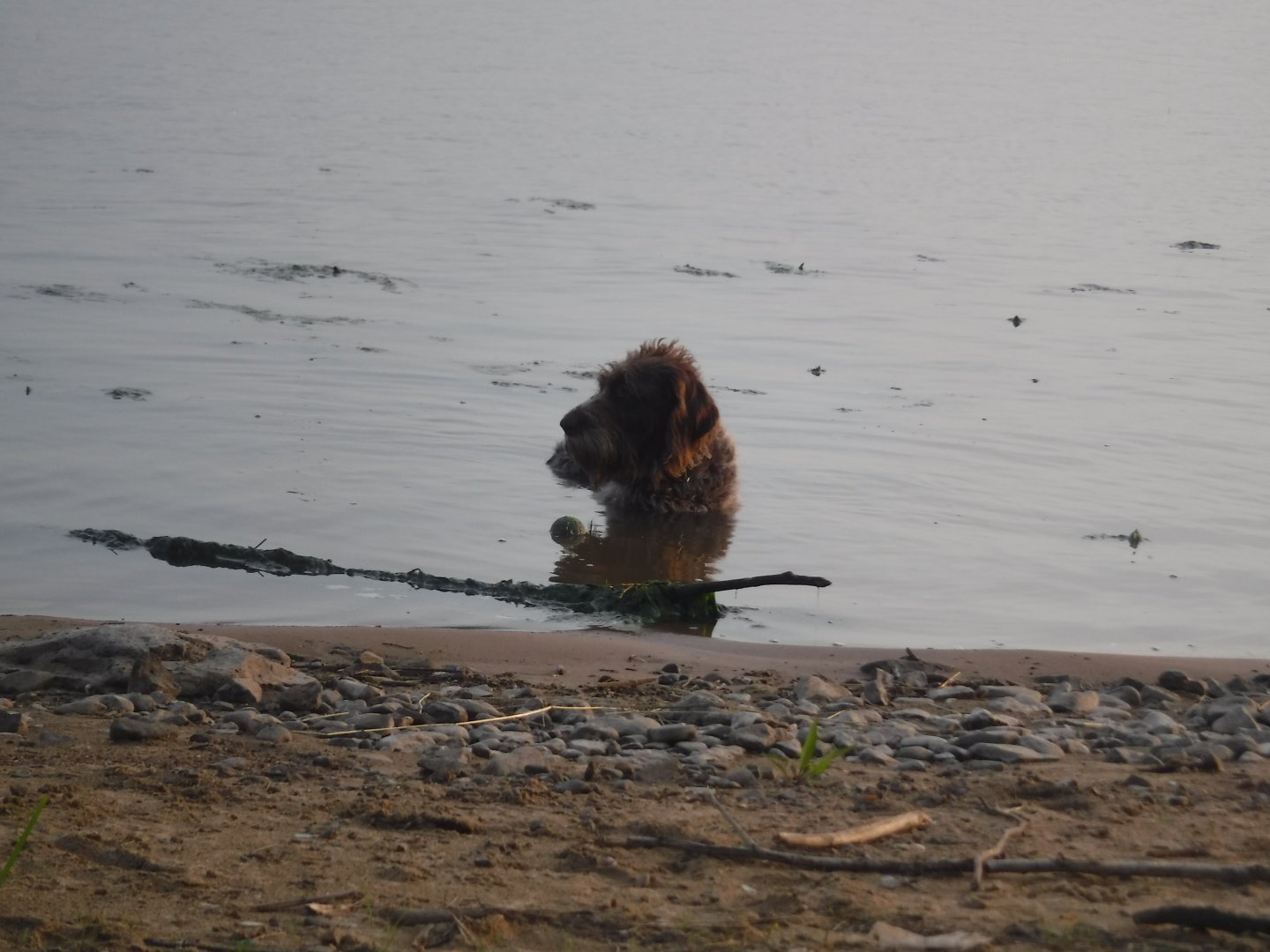 DSCF6493.JPG