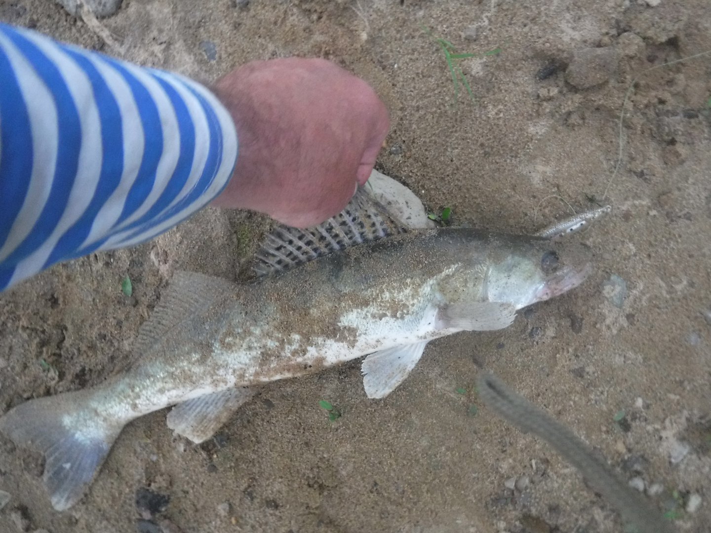 DSCF6499.JPG