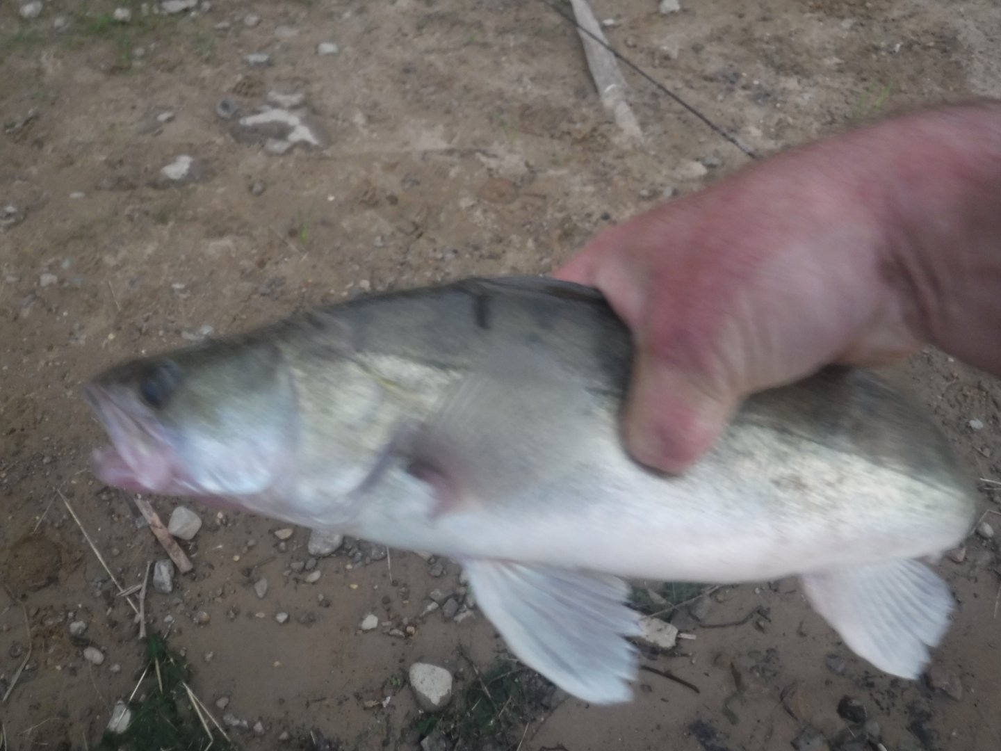 DSCF6500.JPG