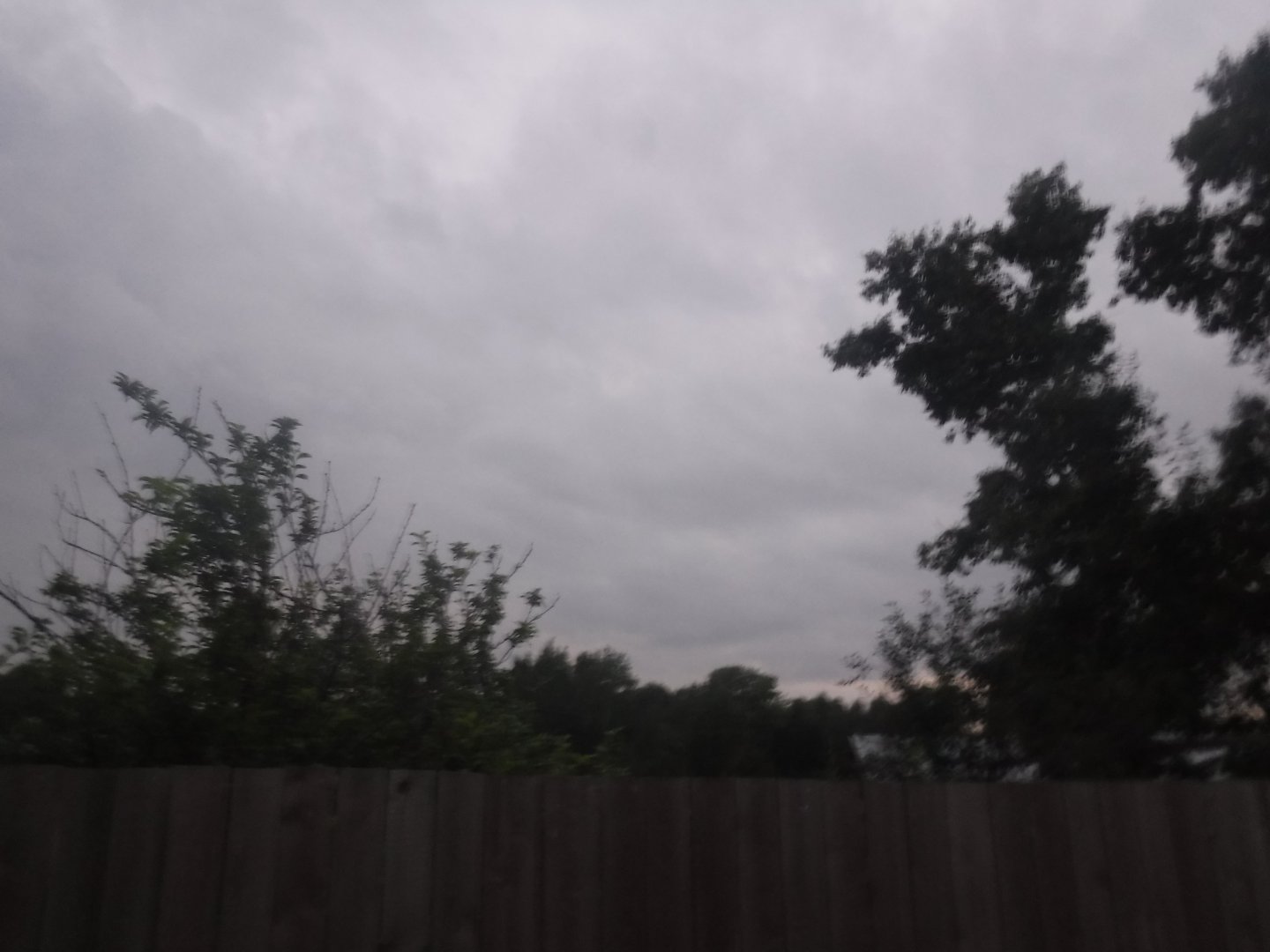 DSCF6501.JPG