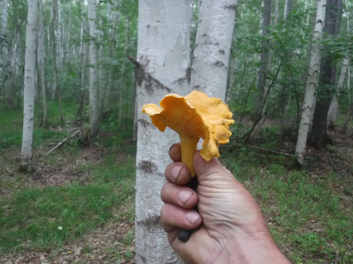 DSCF6503.JPG