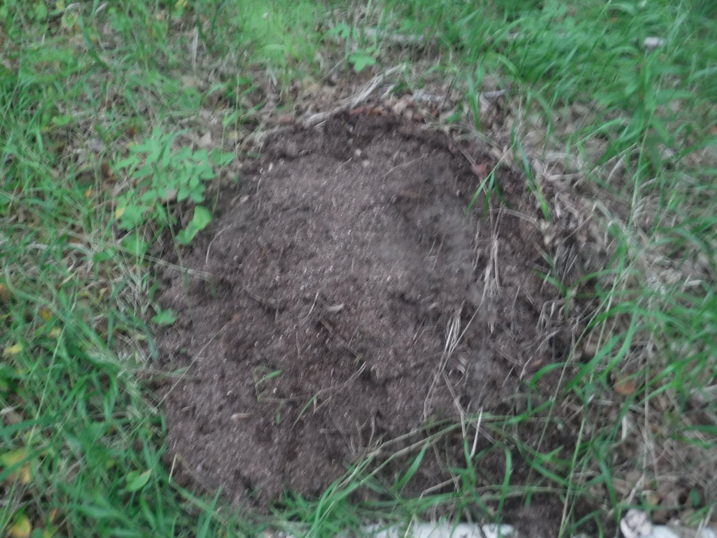 DSCF6507.JPG