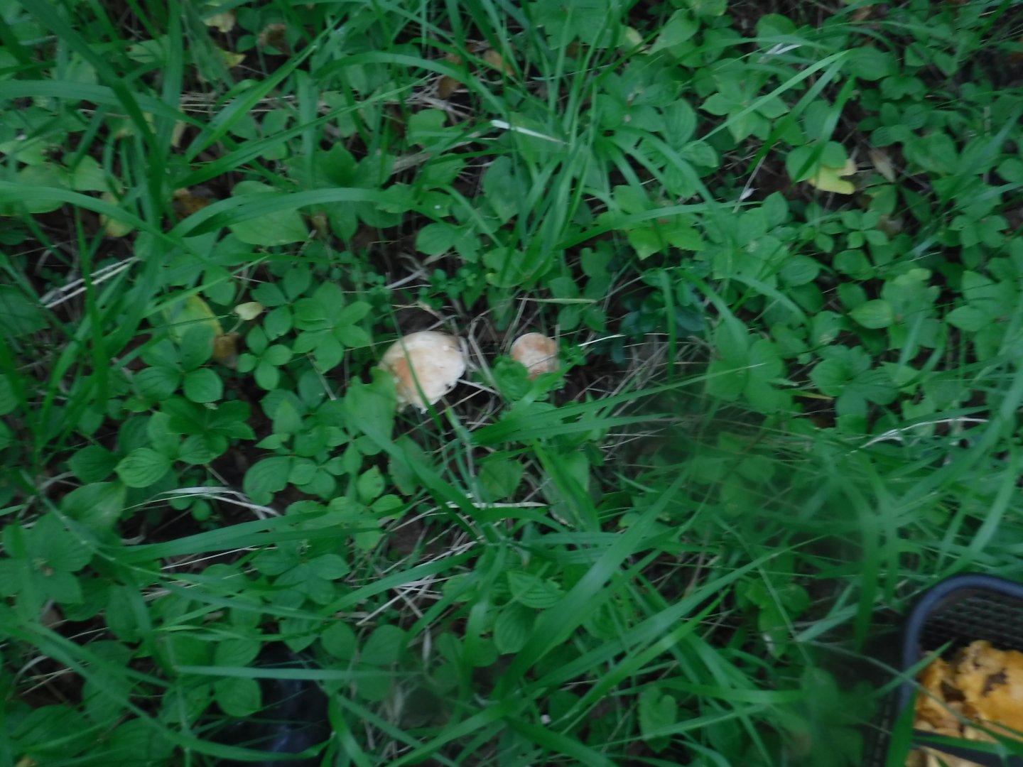 DSCF6516.JPG