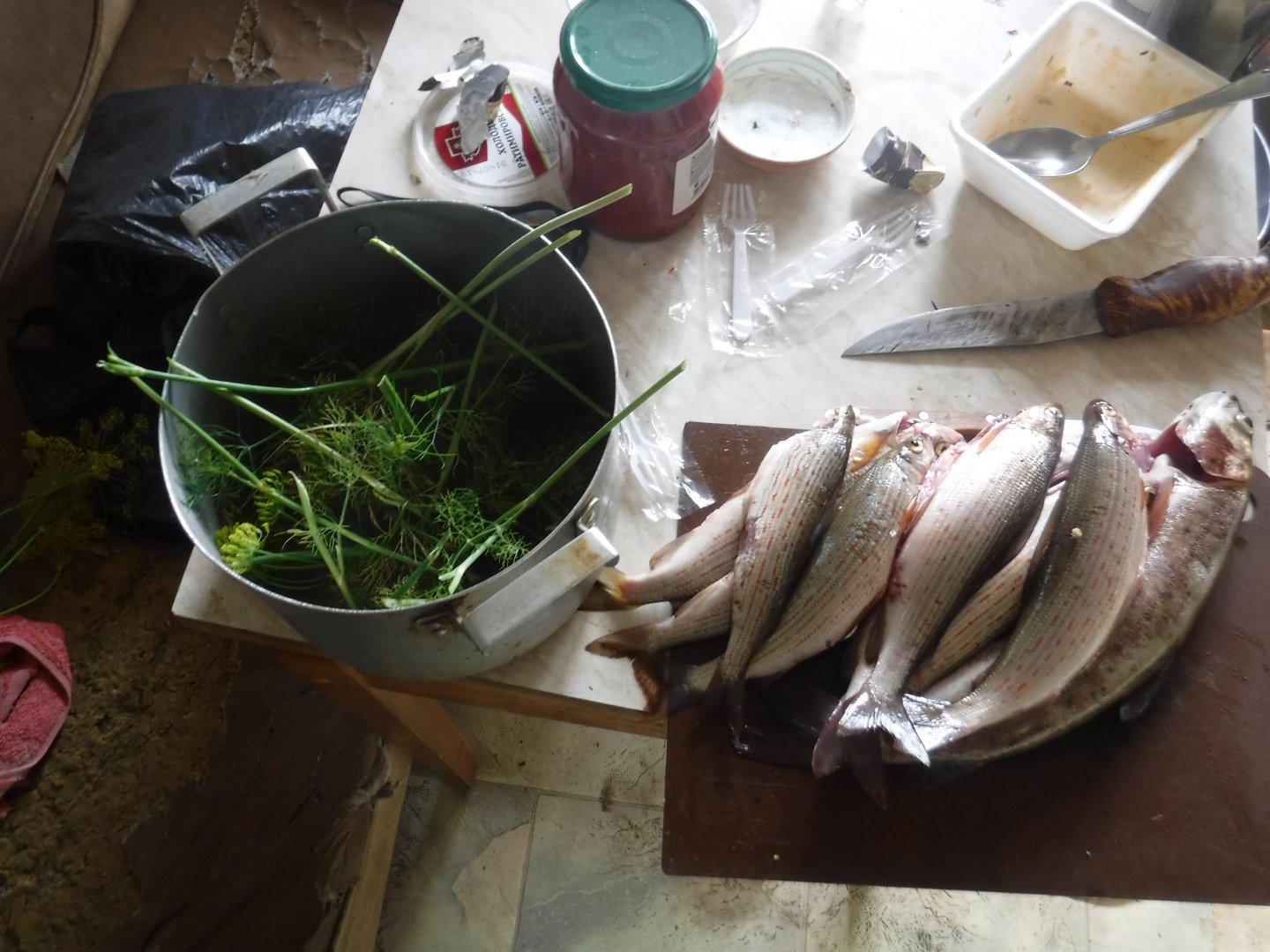 DSCF6543.JPG
