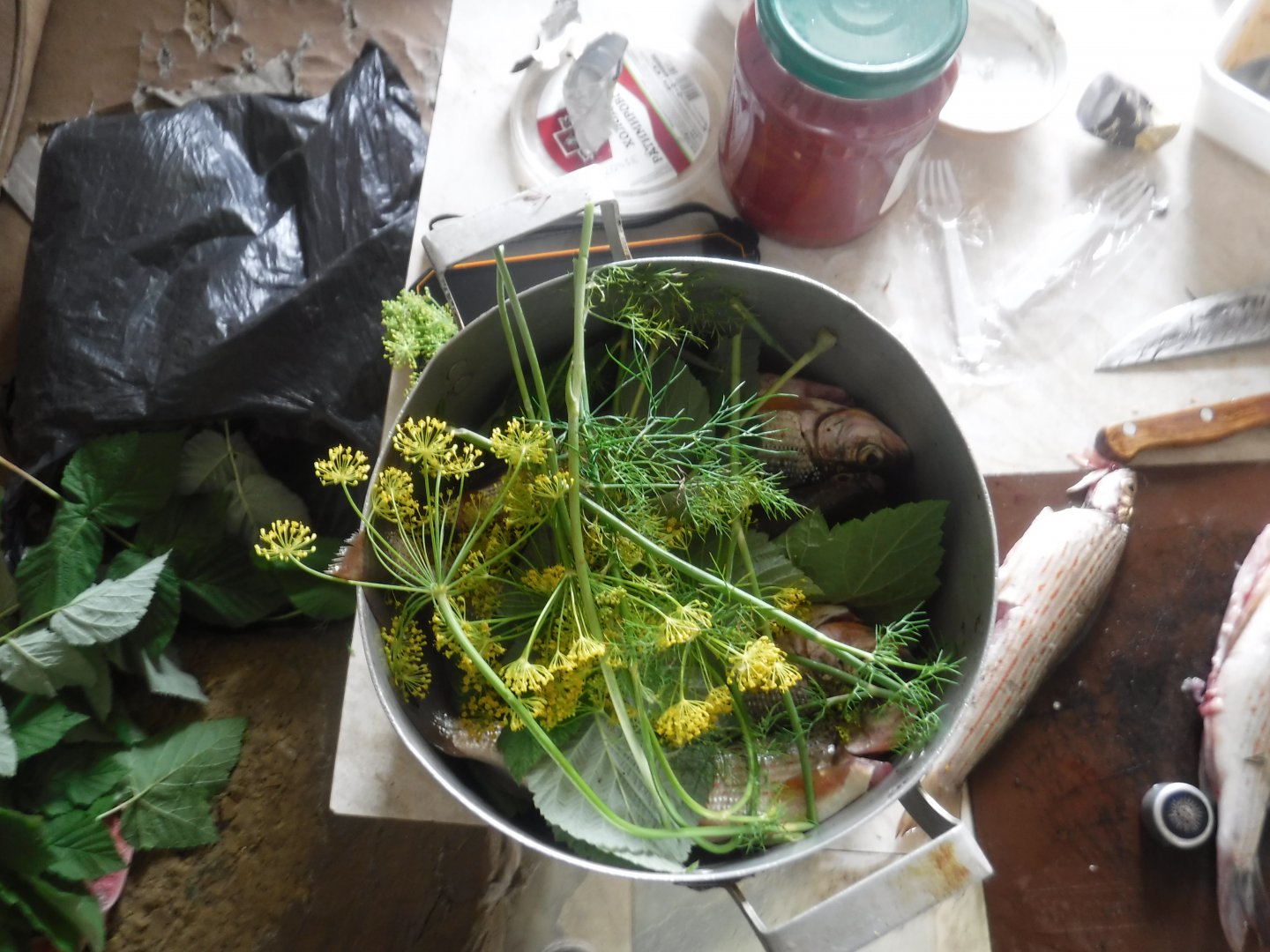 DSCF6545.JPG