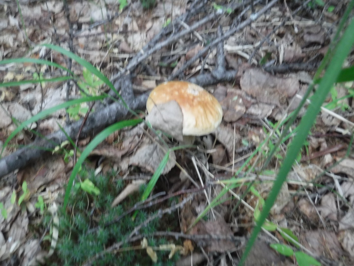 DSCF6552.JPG