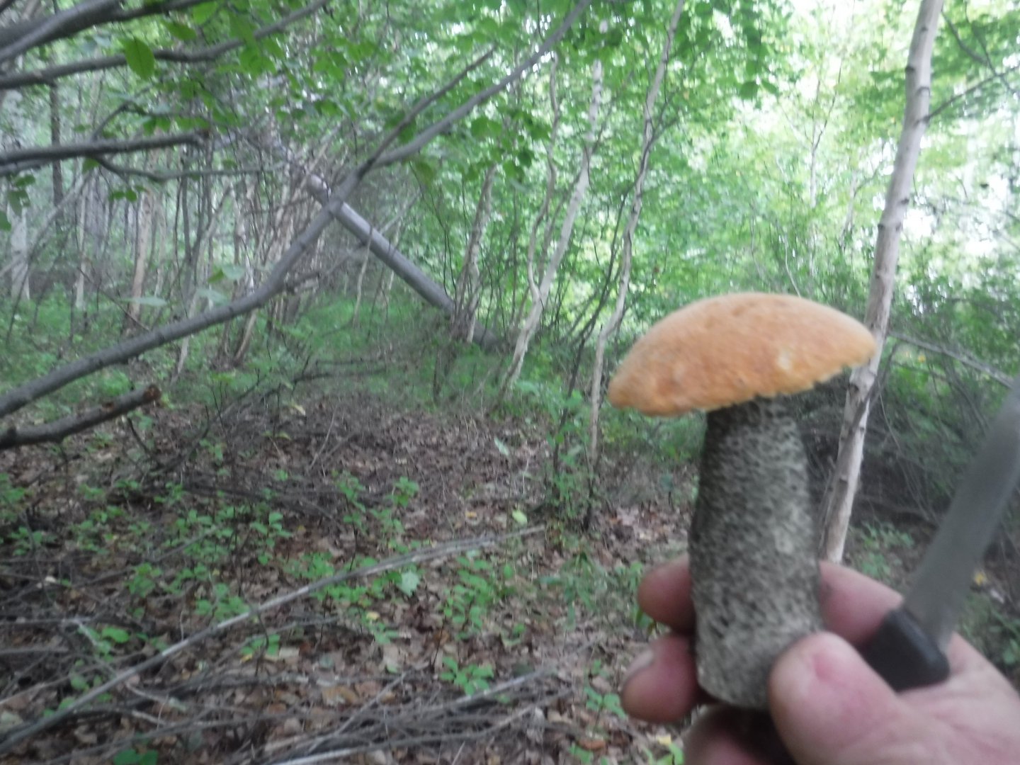 DSCF6570.JPG