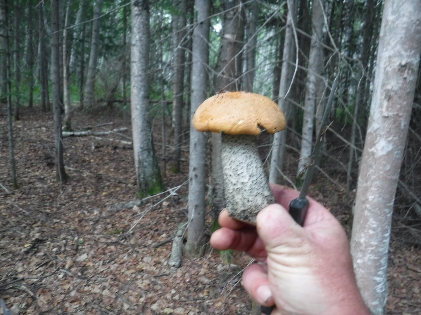 DSCF6577.JPG