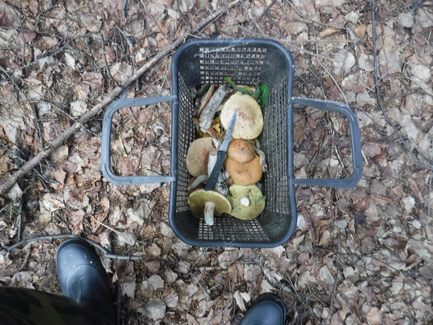 DSCF6578.JPG