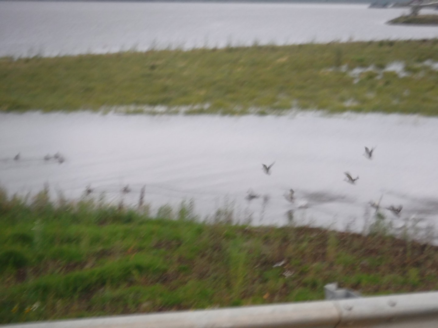 DSCF6584.JPG