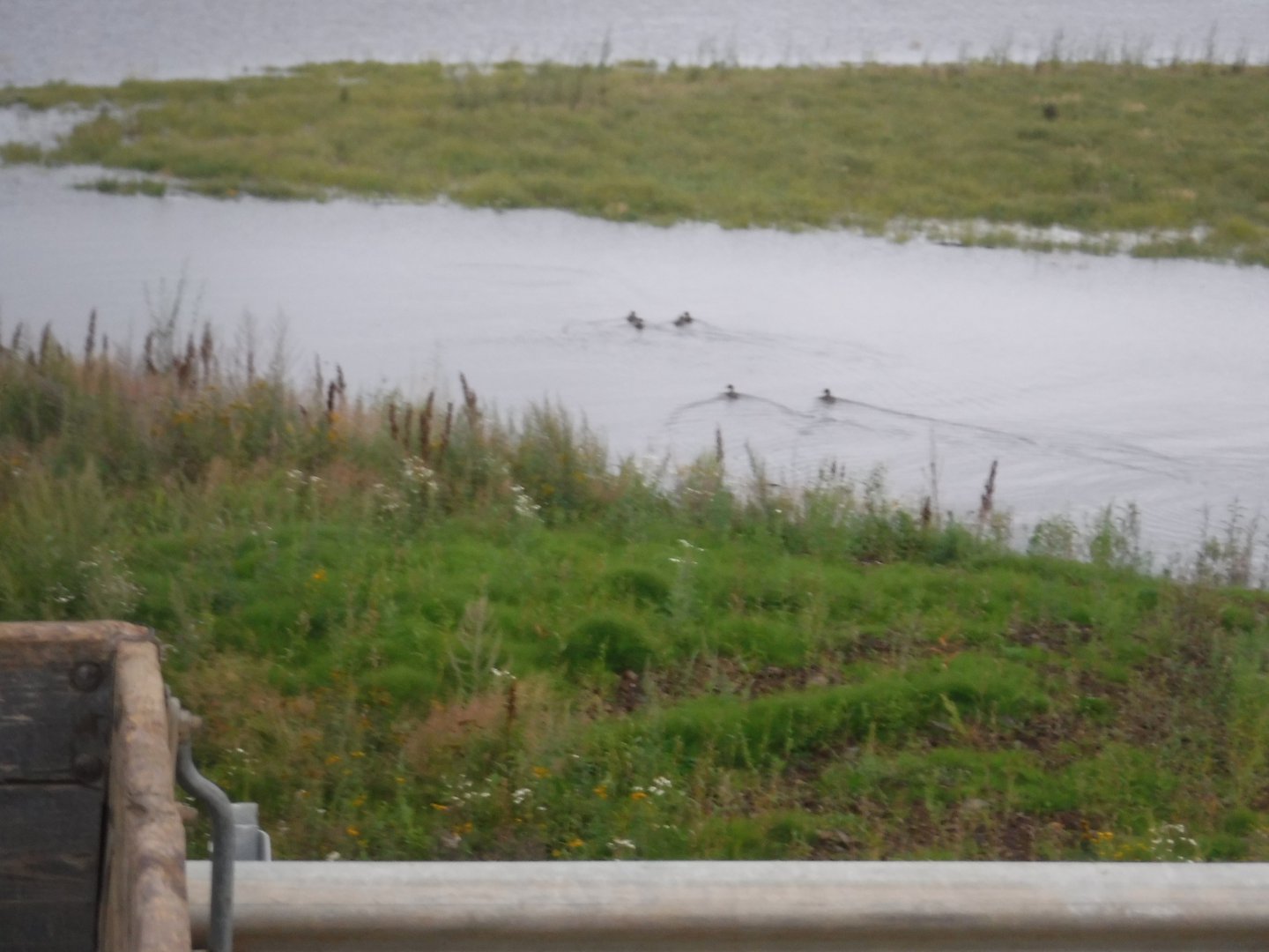 DSCF6586.JPG