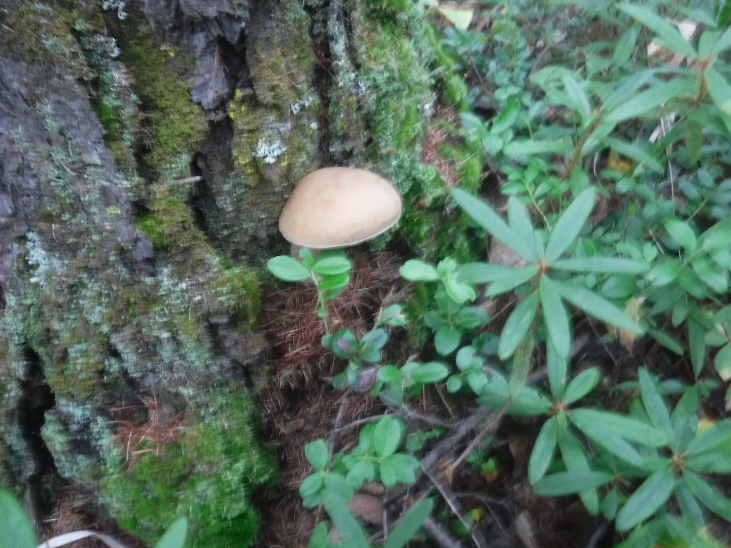 DSCF6593.JPG