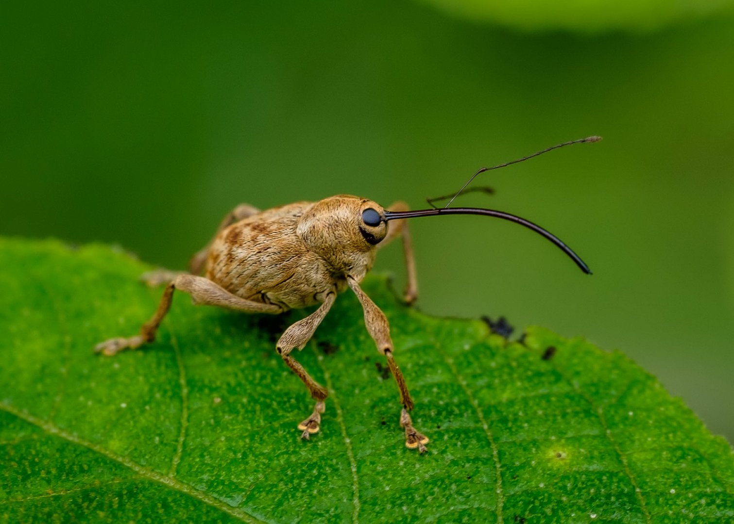 DSCF6611.jpg