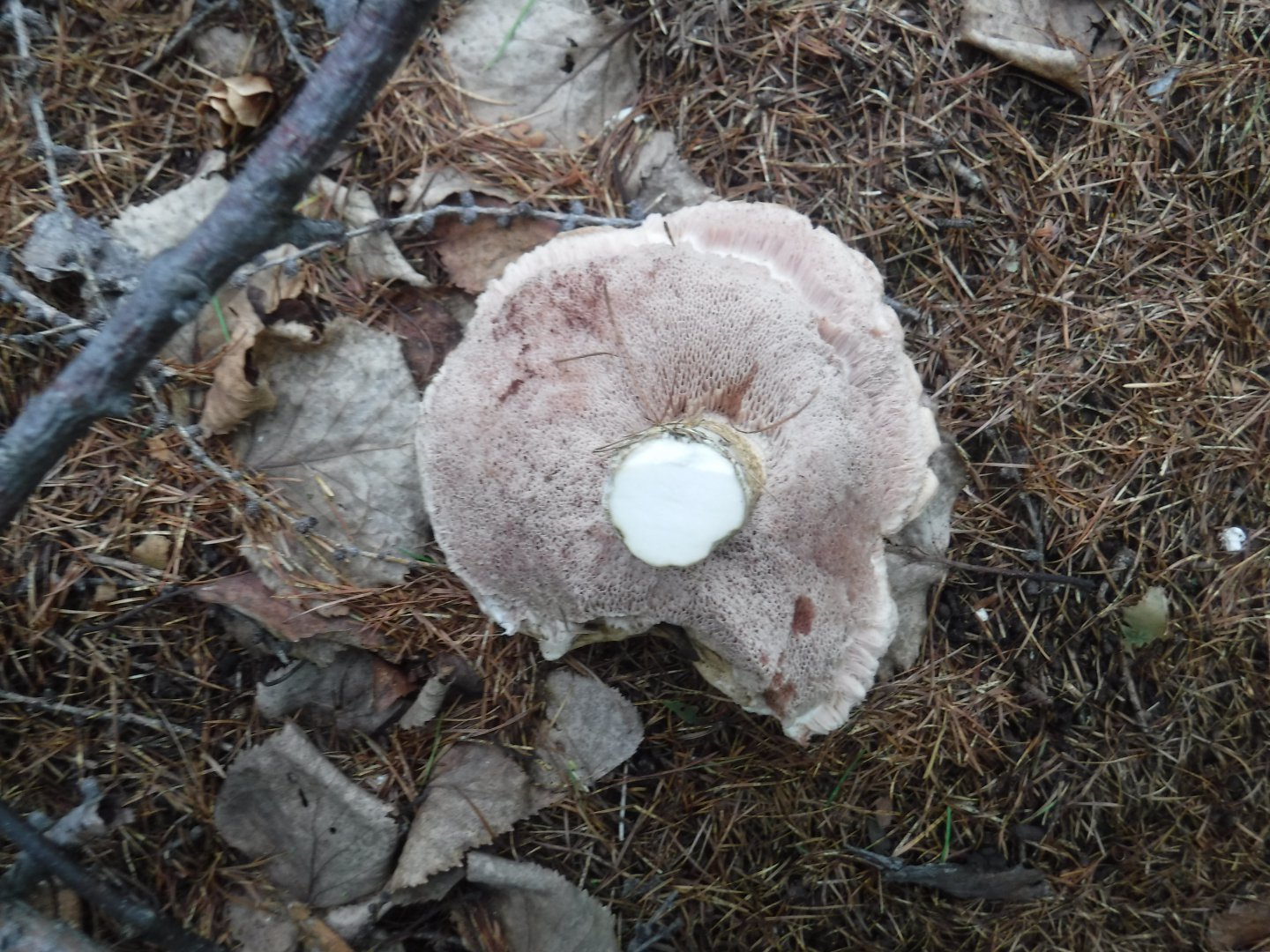 DSCF6613.JPG