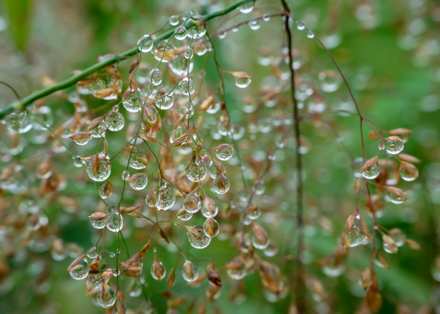 DSCF6701.jpg