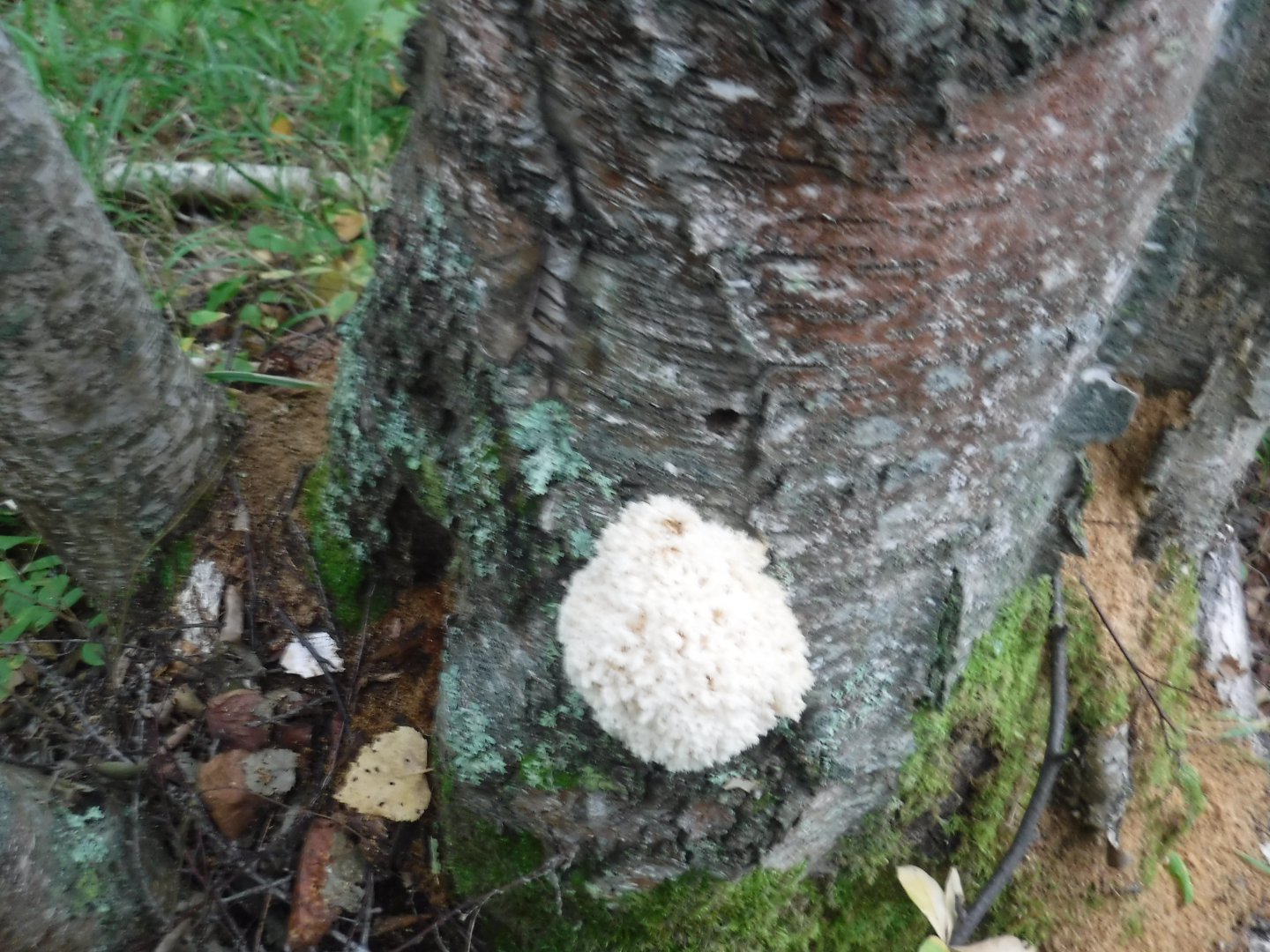 DSCF6706.JPG
