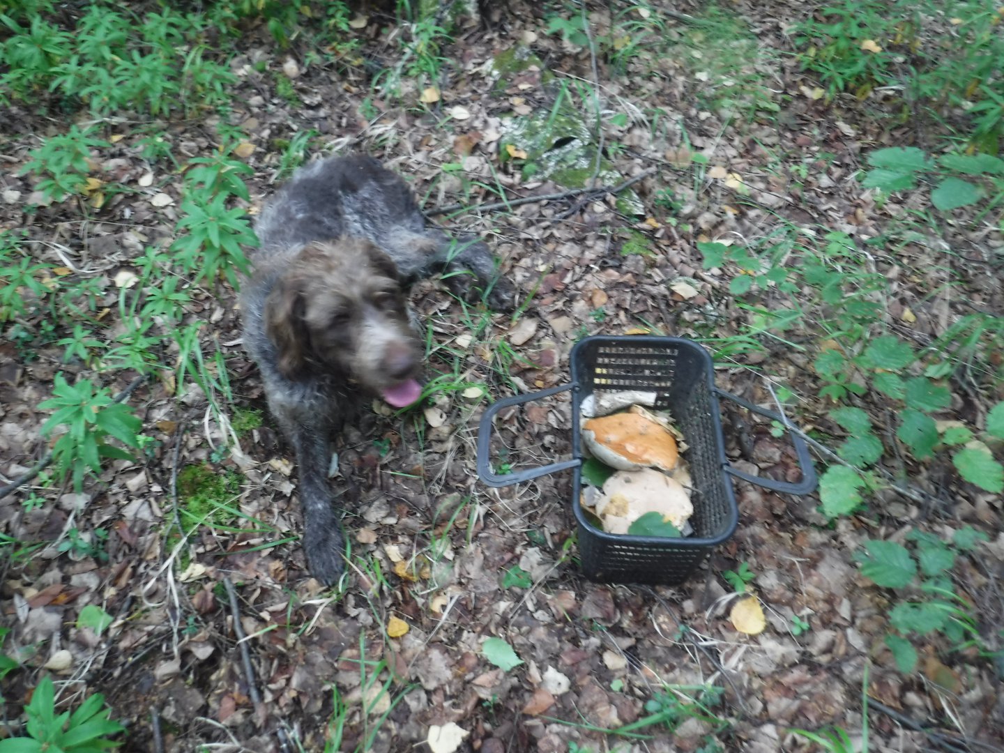 DSCF6714.JPG