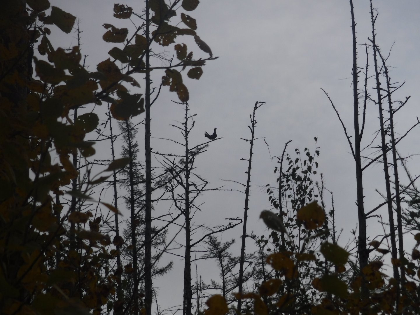 DSCF6792.JPG