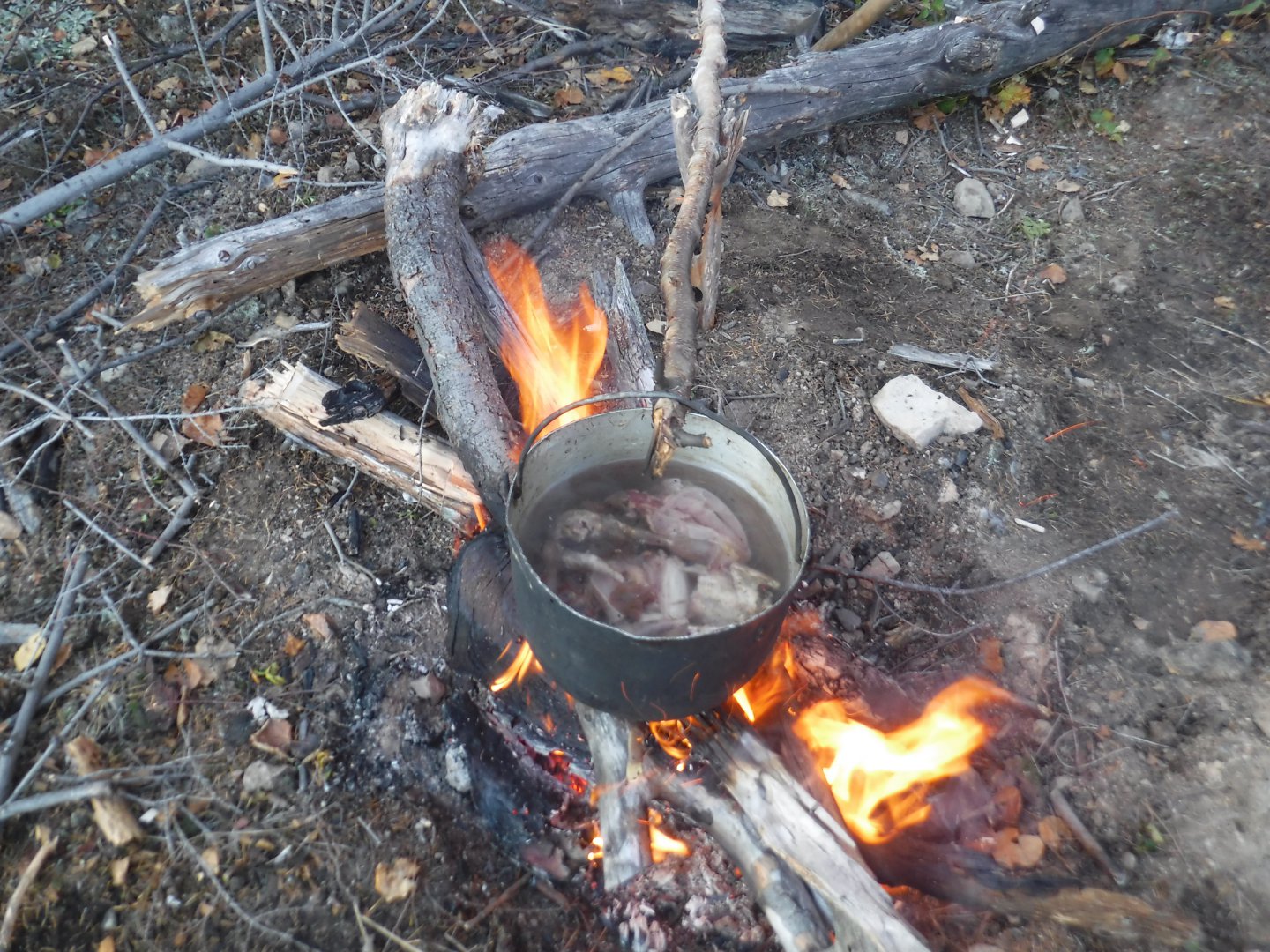 DSCF6871.JPG