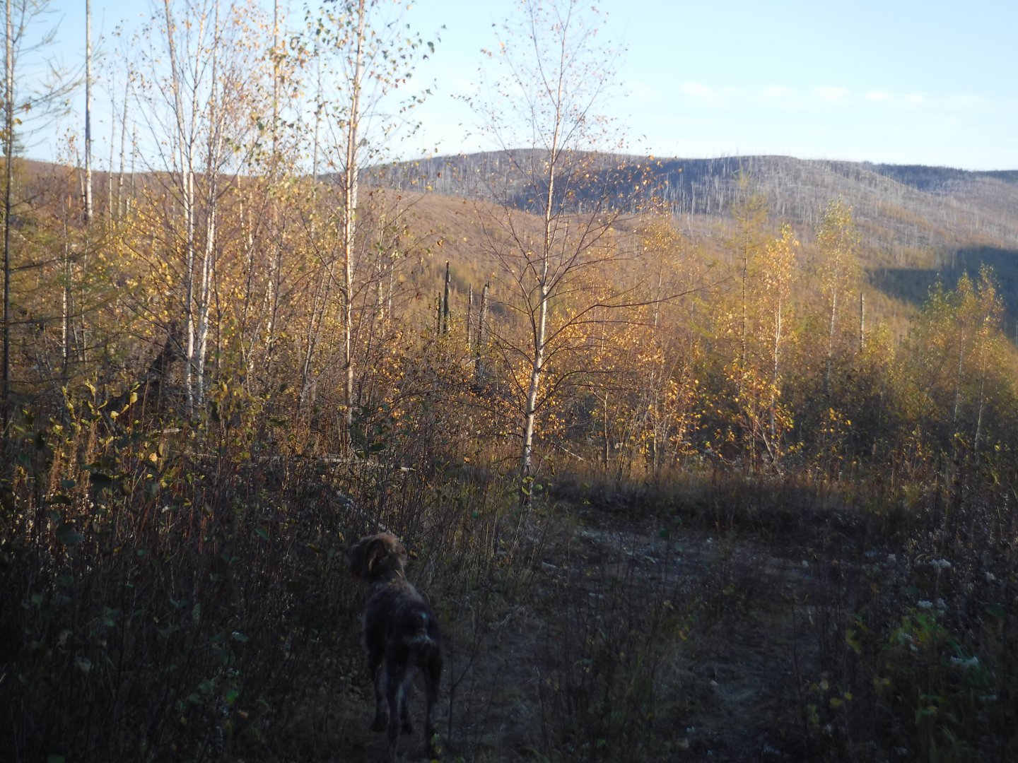 DSCF6879.JPG
