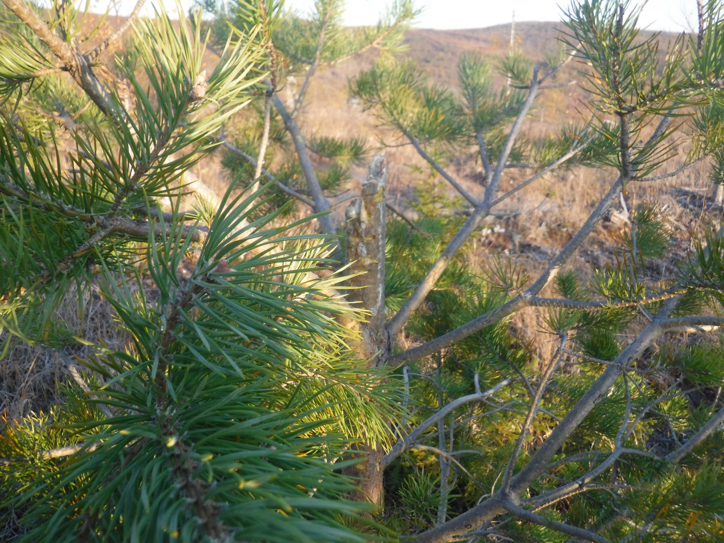 DSCF6899.JPG