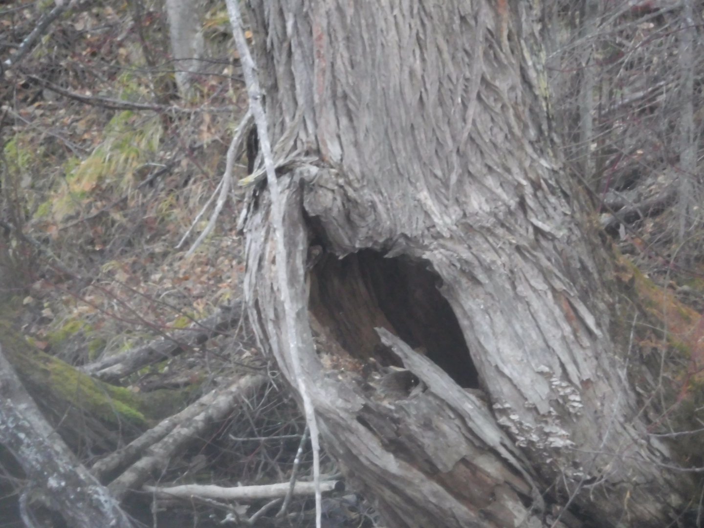 DSCF6928.JPG