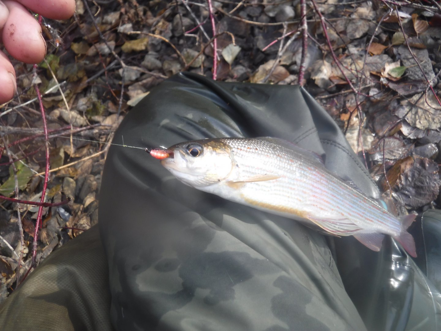 DSCF6932.JPG