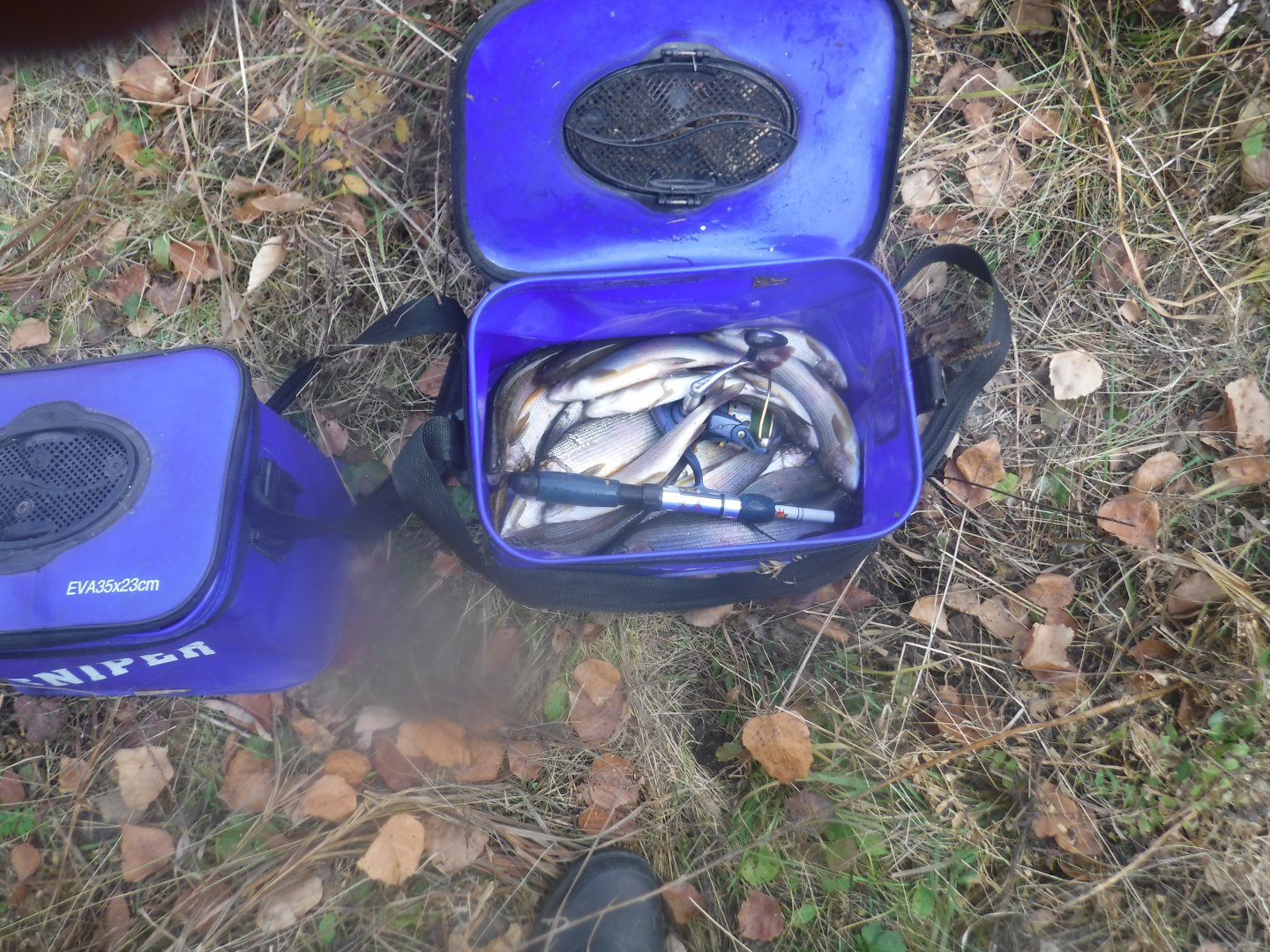 DSCF6936.JPG