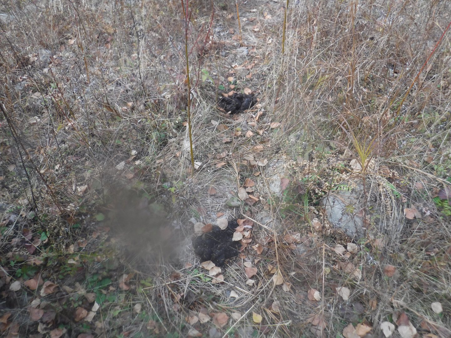 DSCF6938.JPG