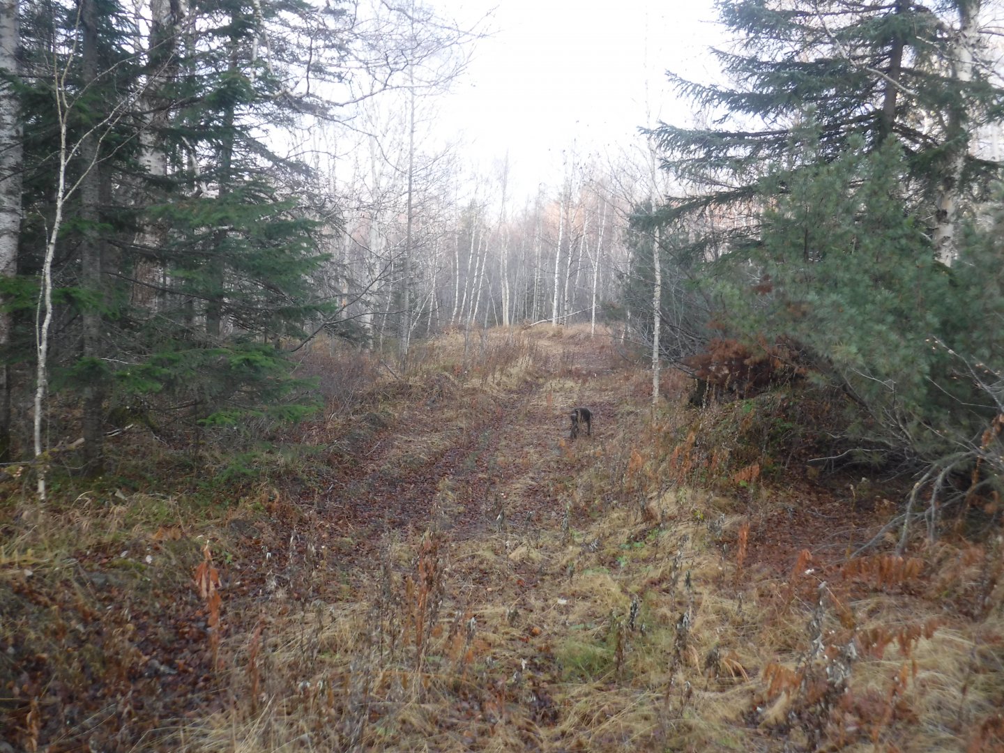 DSCF6942.JPG