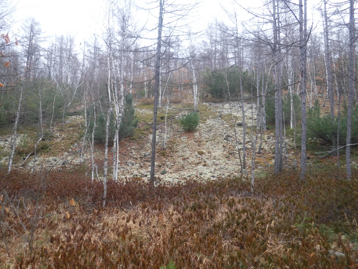 DSCF6944.JPG