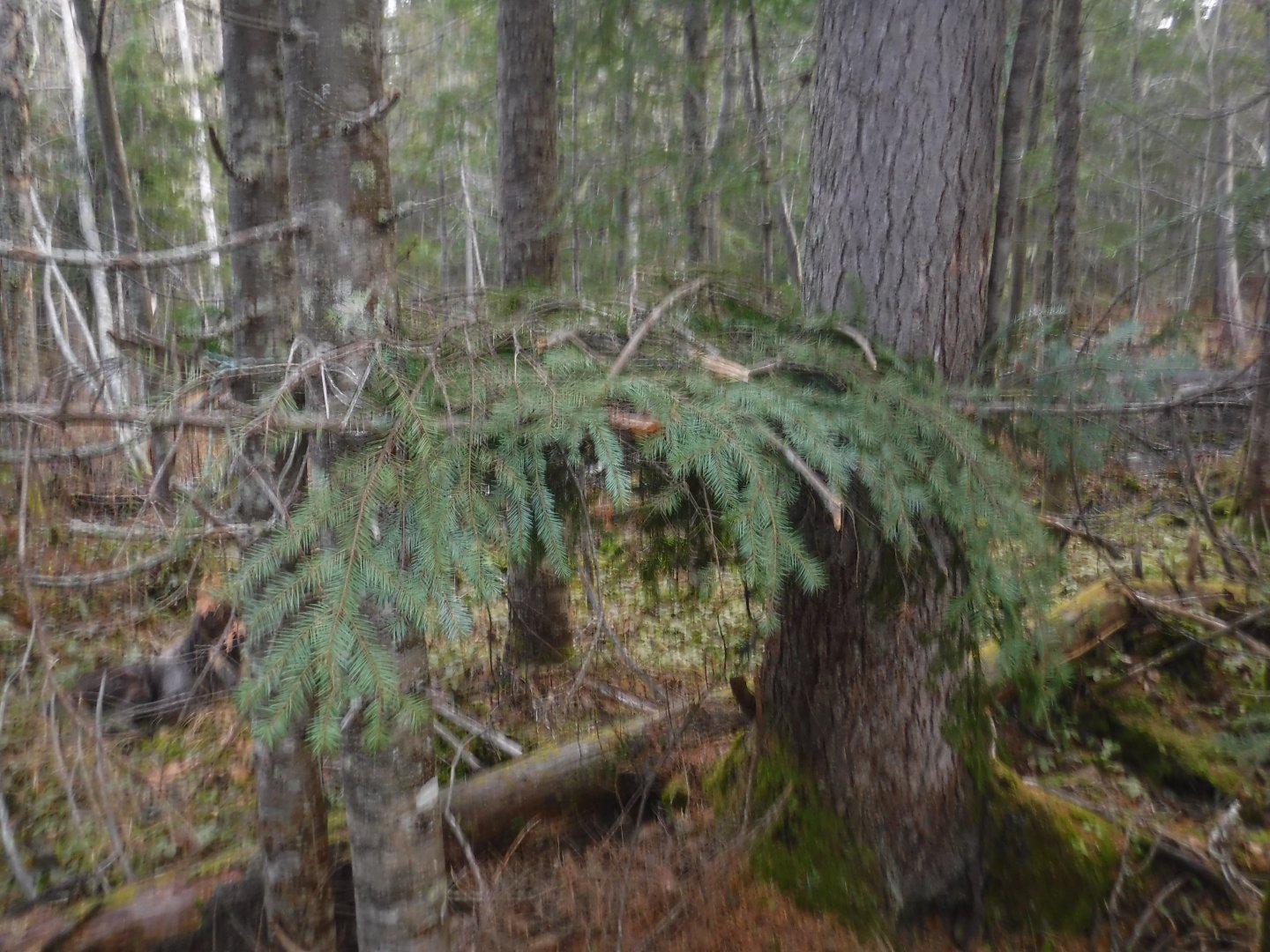 DSCF6951.JPG