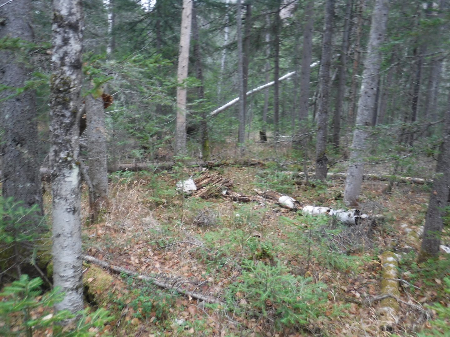 DSCF6954.JPG