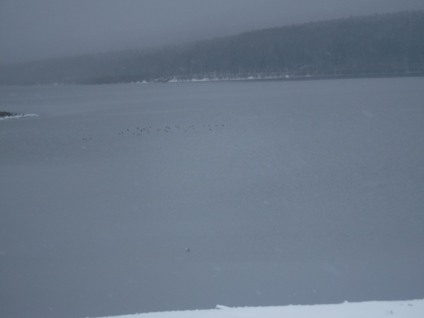 DSCF7008.JPG
