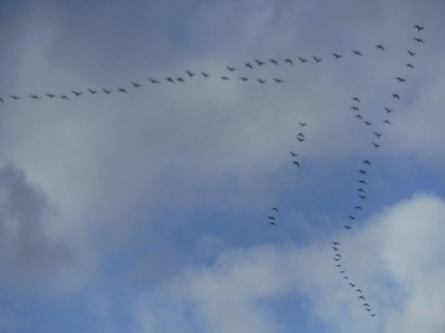 DSCF7193.JPG