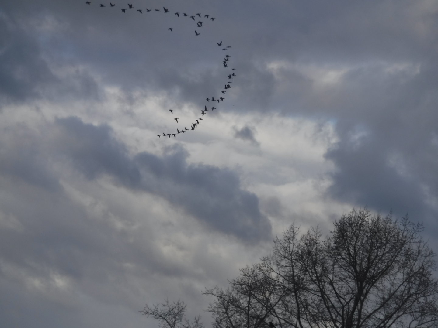 DSCF7194.JPG
