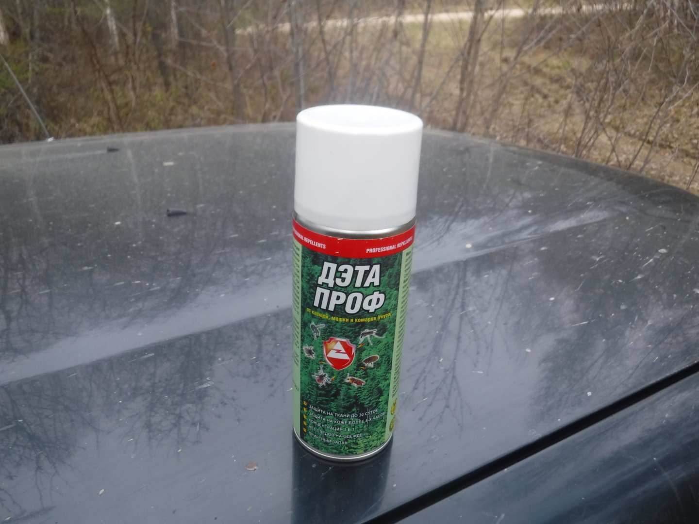 DSCF7195.JPG