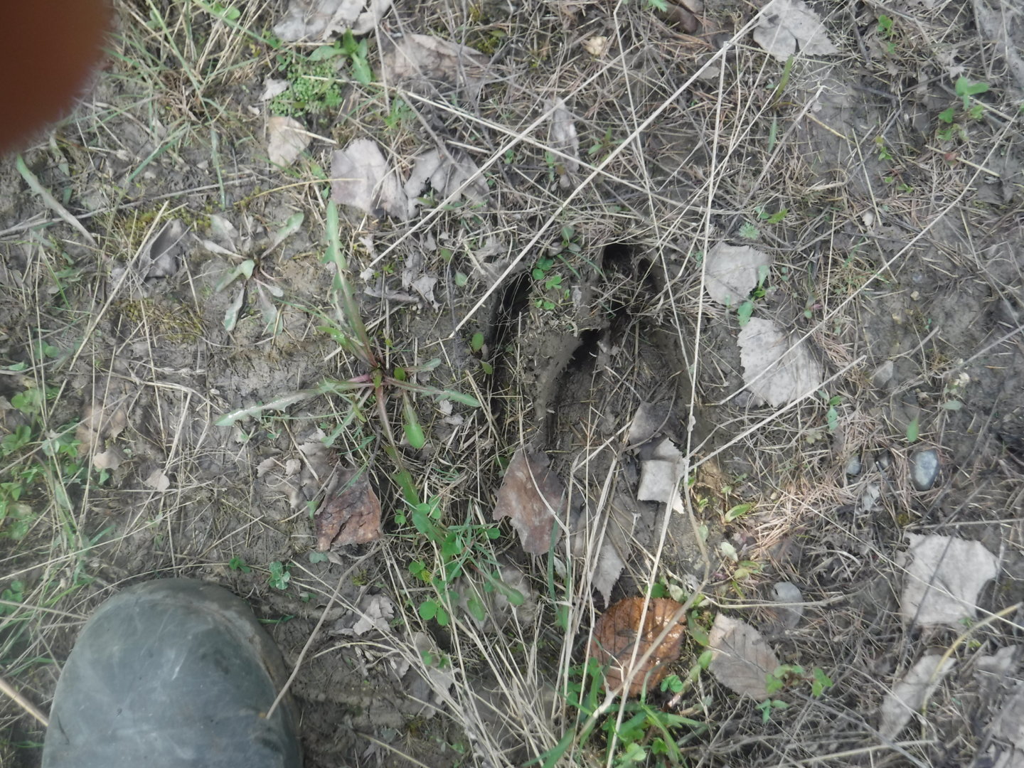 DSCF7205.JPG