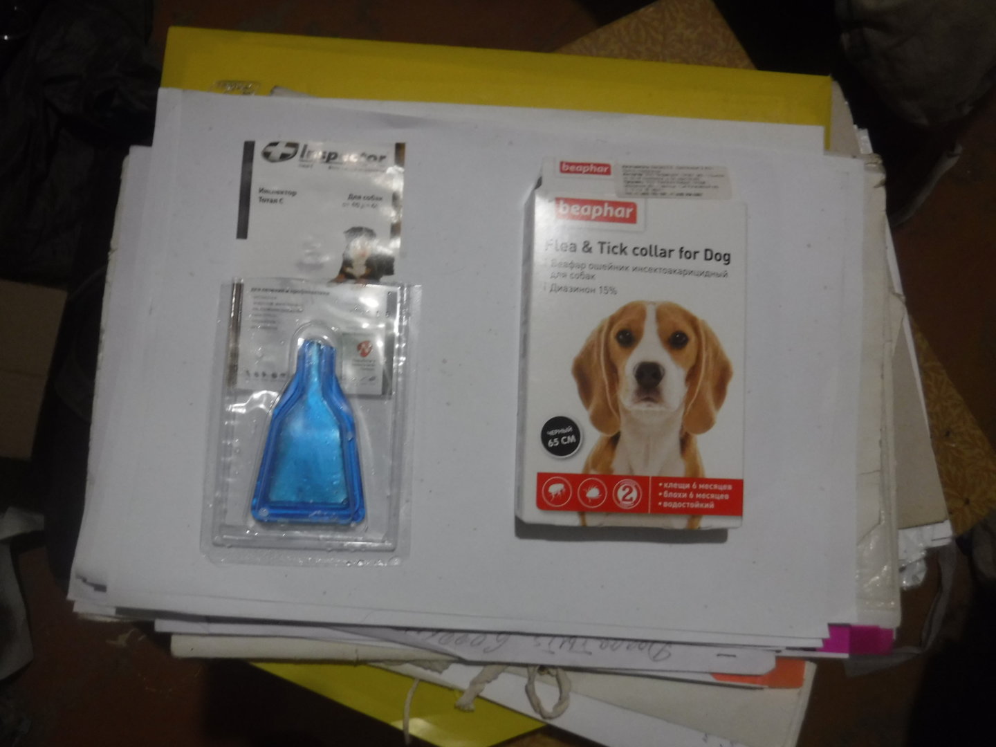 DSCF7207.JPG
