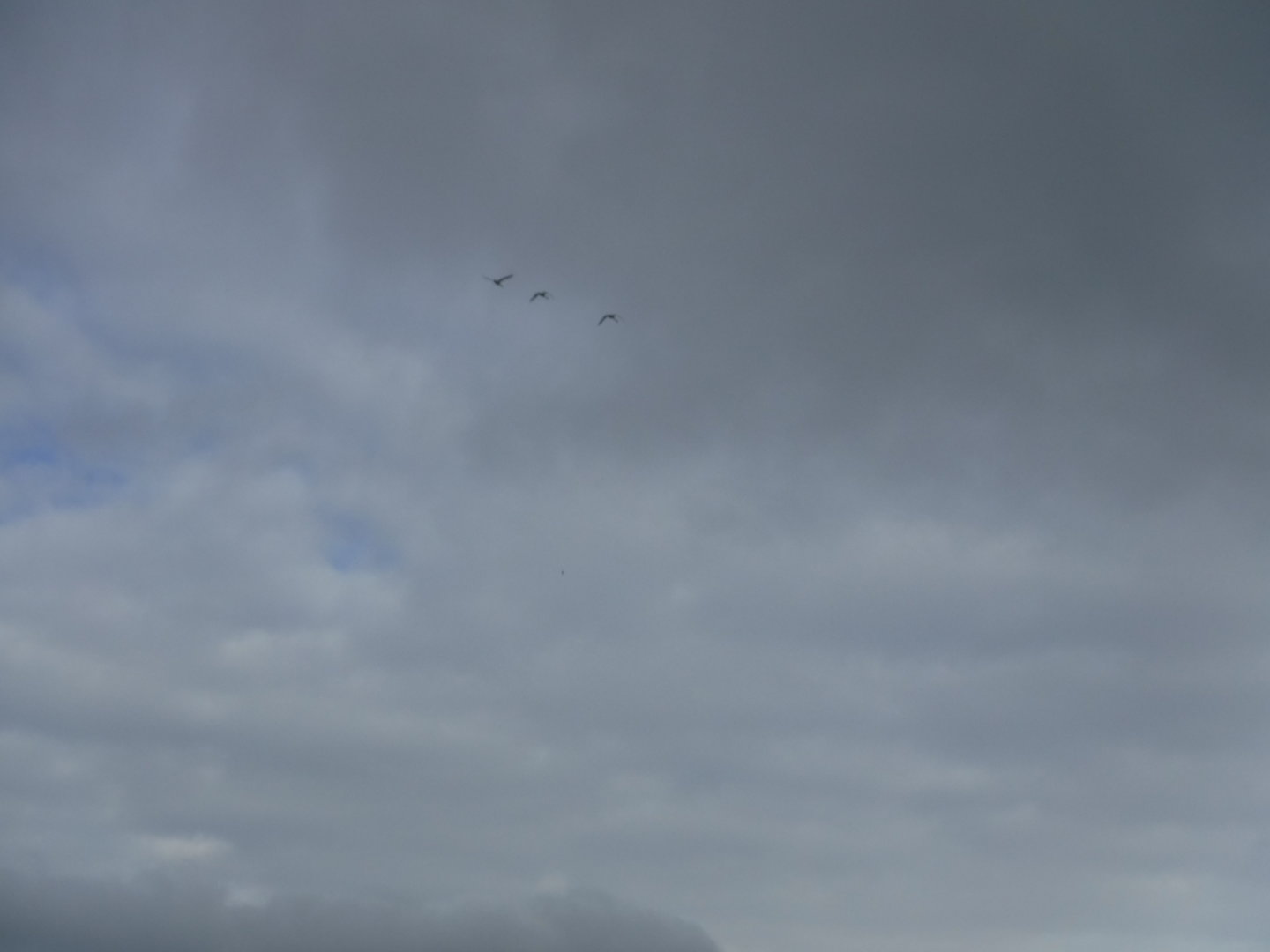 DSCF7209.JPG